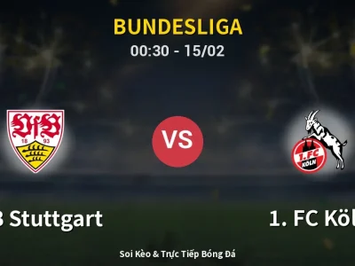 Kết Quả: VfB Stuttgart 3-1 1. FC Köln – Highlight & Bàn Thắng | Bundesliga
