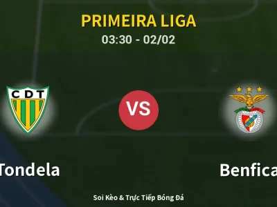 Kết Quả: Tondela 0-0 Benfica – Highlight & Bàn Thắng | Primeira Liga