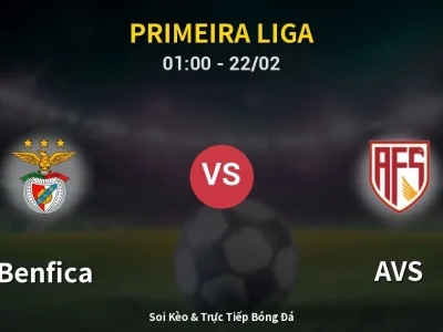 Kết Quả: Benfica 3-0 AVS – Highlight & Bàn Thắng | Primeira Liga
