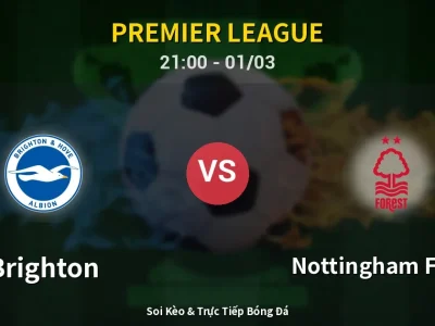 🔴 Trực Tiếp: Brighton 2-1 Nottingham Forest – Link Xem Premier League (Full HD)