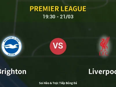 🔴 Trực Tiếp: Brighton 2-1 Liverpool – Link Xem Premier League (Full HD)
