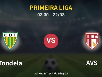 Kết Quả: Tondela 0-0 AVS – Highlight & Bàn Thắng | Primeira Liga