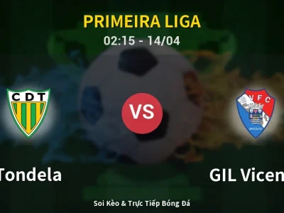 Kết Quả: Tondela 2-2 GIL Vicente – Highlight & Bàn Thắng | Primeira Liga