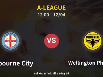 Kết Quả: Melbourne City 2-0 Wellington Phoenix – Highlight & Bàn Thắng | A-League